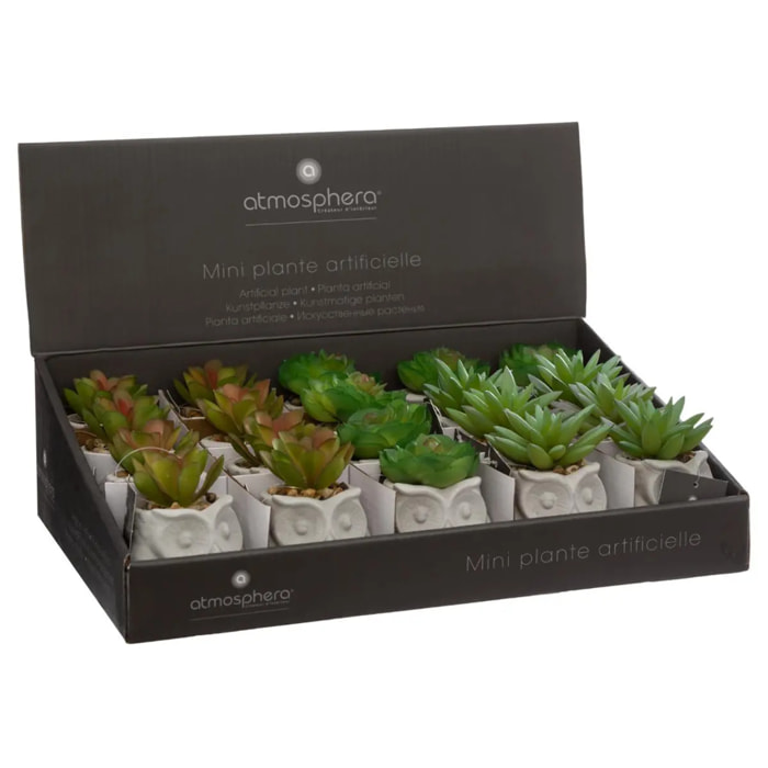 Succulente artificielle - pot en ciment - H8 cm