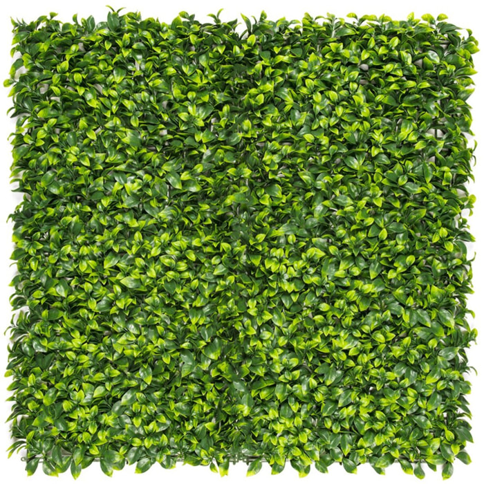 Rollo Jardin Vertical Lauro 100 X 100