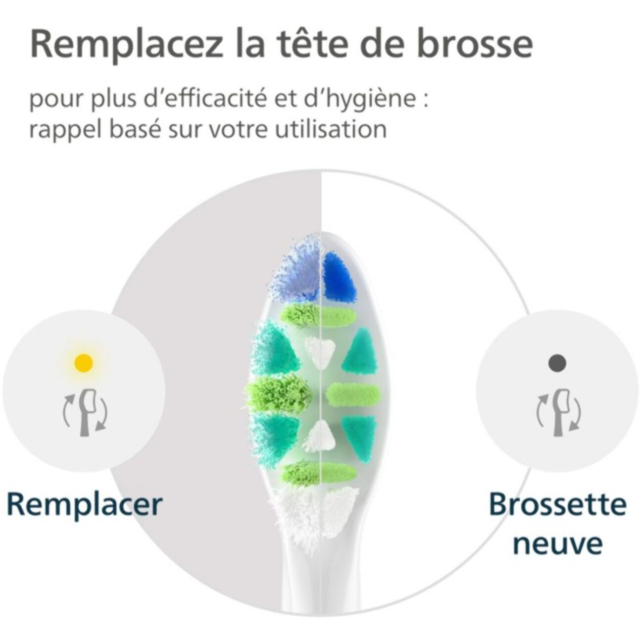 Brossette dentaire PHILIPS Sonicare lot de 6 InterCare blanc