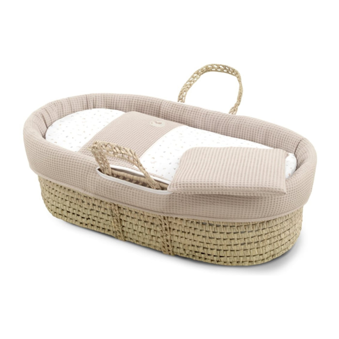 Cambrass Moises De Palma Acolchado Une Rabbit