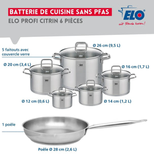 Ensemble de 1 Poêle de cuisson 28 cm et 5 faitouts 12, 14, 16, 20 et 26 cm Elo Profi Citrin