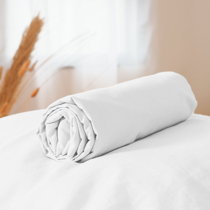 Drap housse coton lave blanc