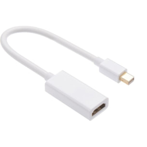 Adaptateur HDMI/DVI ESSENTIELB HDMI vers DVI