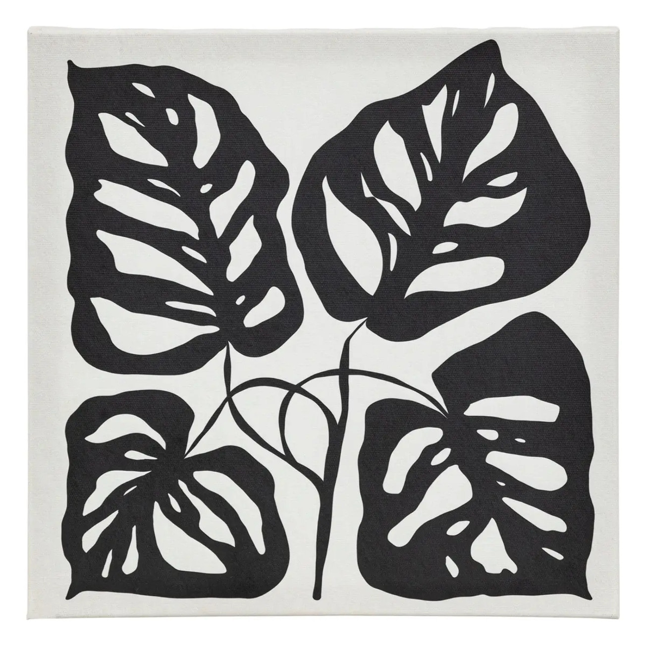 Lot de 5 toiles imprimées Cynthia noir et blanc 15x20/25x25cm