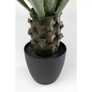 Plante décorative agave 85cm Kare Design