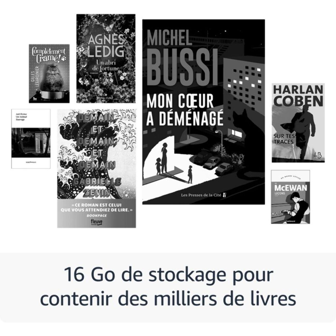 Liseuse eBook AMAZON Kindle 16 Go Noire (modèle 2024)
