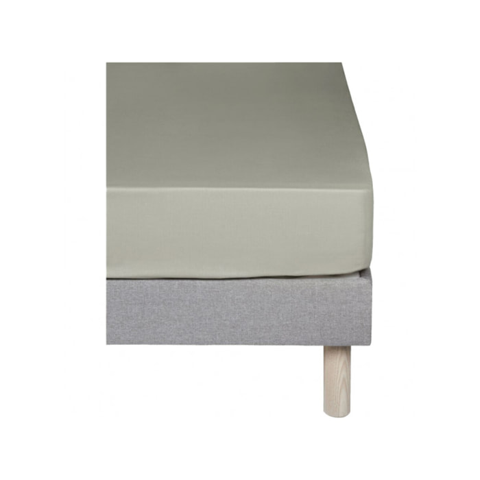 Drap-housse en coton 160x200 cm bonnet - CALANQUES
