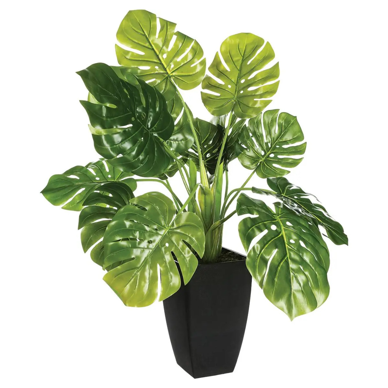 Plante artificielle - pot en ciment - H70 cm