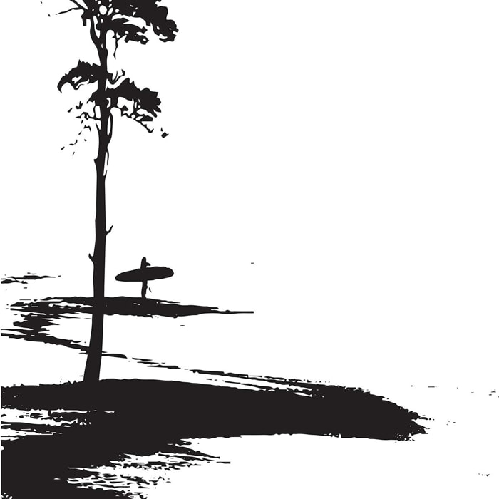 Poster surfing les landes Affiche seule