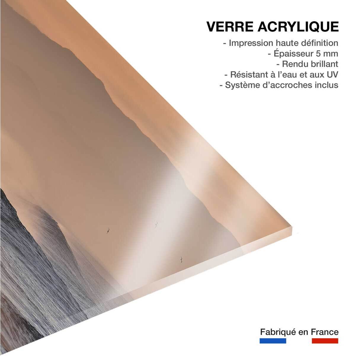 Tableau plage hossegor mouettes au pic Tableau plexiglas