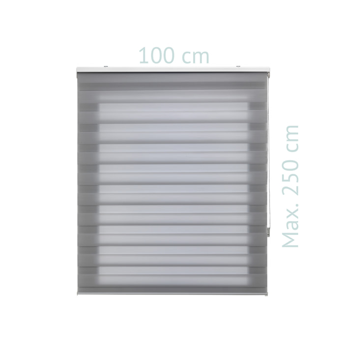 Store enrouleur Polyester Translucide Gris 180 x 180