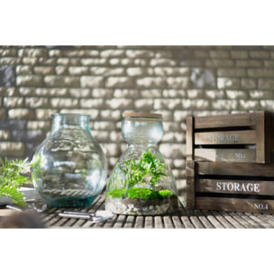 Terrarium in vetro riciclato con attrezzi inclusi