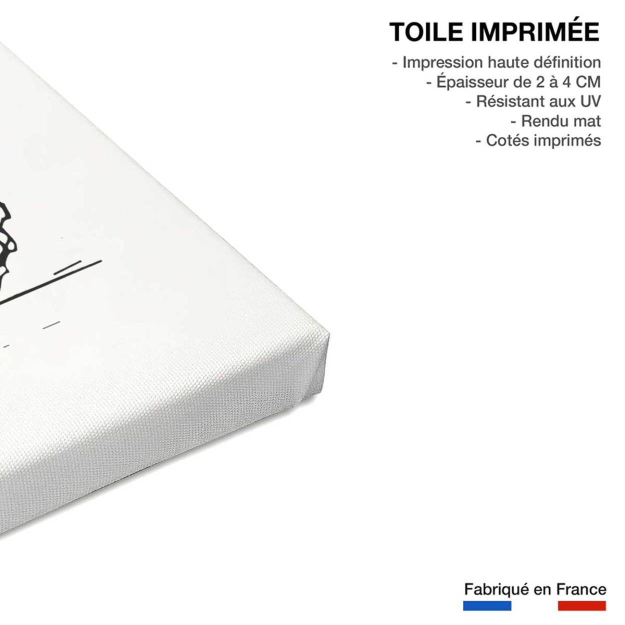 Tableau pomme de pins Toile imprimée