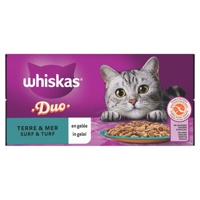 WHISKAS Duo 48 Sachets fraîcheur en gelée 4 variétés pour chat 85g (4x12)