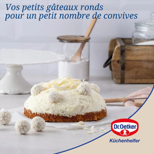 Moule à manqué à charnière Dr.Oetker Tradition