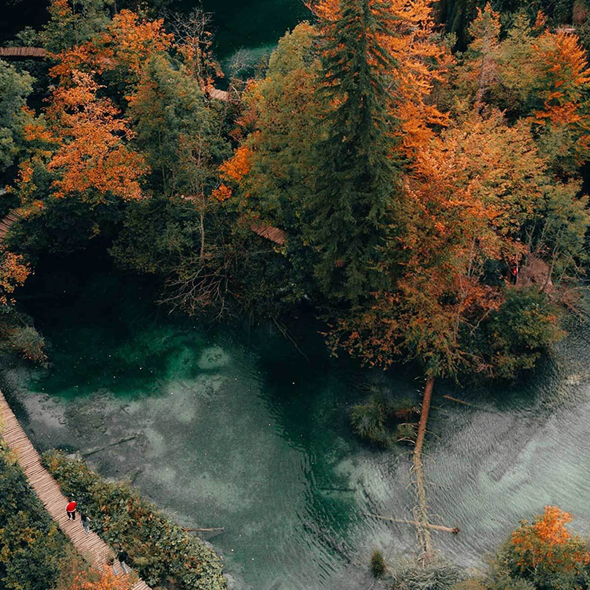Affiche encadrée forêt et cascades vue aérienne Affiche + cadre en métal - Noir