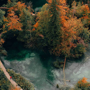 Affiche encadrée forêt et cascades vue aérienne Affiche + cadre en métal - Noir