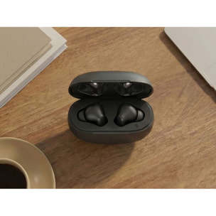 Ecouteurs LISTO Evo 110