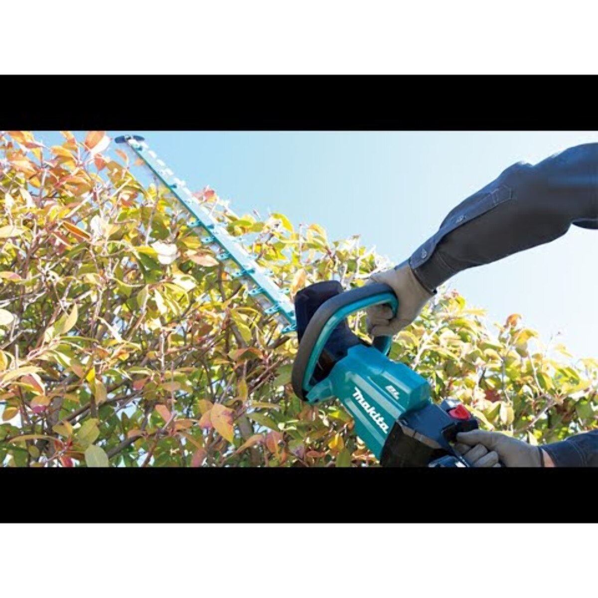 Cortasetos 18V Li-Ion 5 Ah 60 cm MAKITA - DUH602RT2