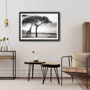 Affiche animaux sous le soleil d' afrique Affiche + cadre en bois - Noir