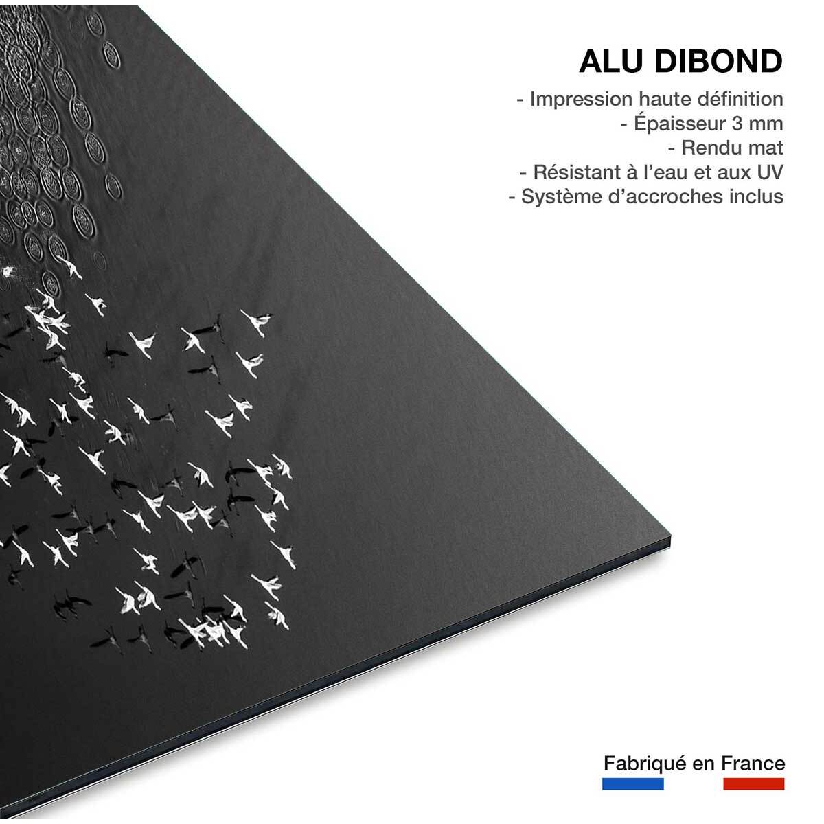 Tableau Take off Tableau alu Dibond