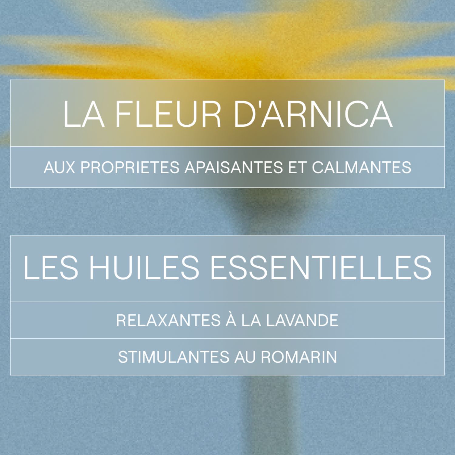 WELEDA - Pack Hygiène - Bain Récupération Sportive Arnica + Gel Douche Sport Arnica - Vegan* - Certifié Natrue** - Flacon en verre 200ml + Tube 200ml