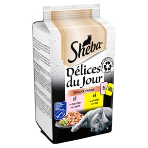 SHEBA Délices du Jour 72 Sachets poulet saumon en sauce pour chat 50g (12x6)