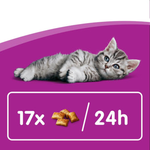 WHISKAS Junior Friandises au lait pour chaton (16x55g)