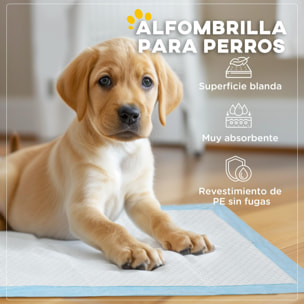 Empapadores para Perros 100 Unidad 45x60 cm Resguardos para Perros Diseño de 6 Capas con Superficie de Secado Rápido a Prueba de Fugas Azul