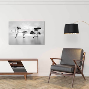 Tableau paysage La décrue Toile imprimée
