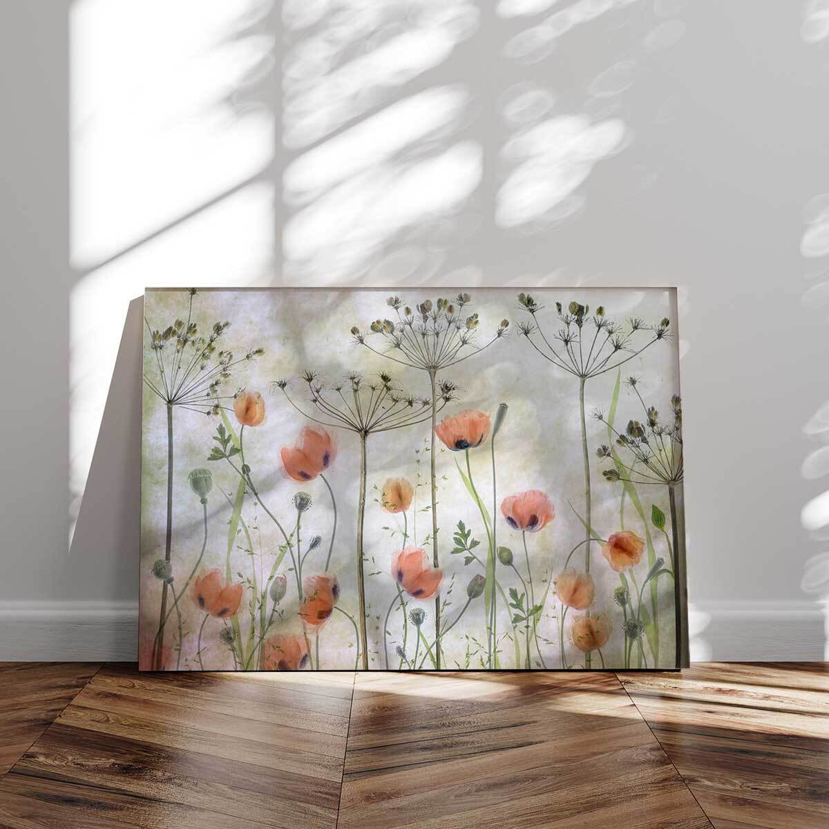 Tableau de fleurs Prairie de coquelicots Tableau alu Dibond