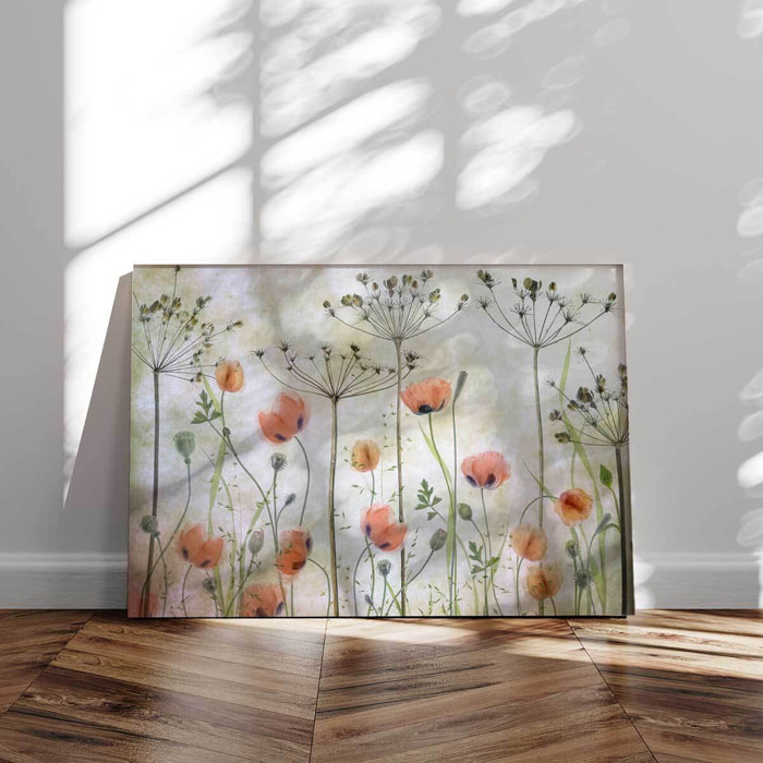 Tableau de fleurs Prairie de coquelicots Tableau alu Dibond