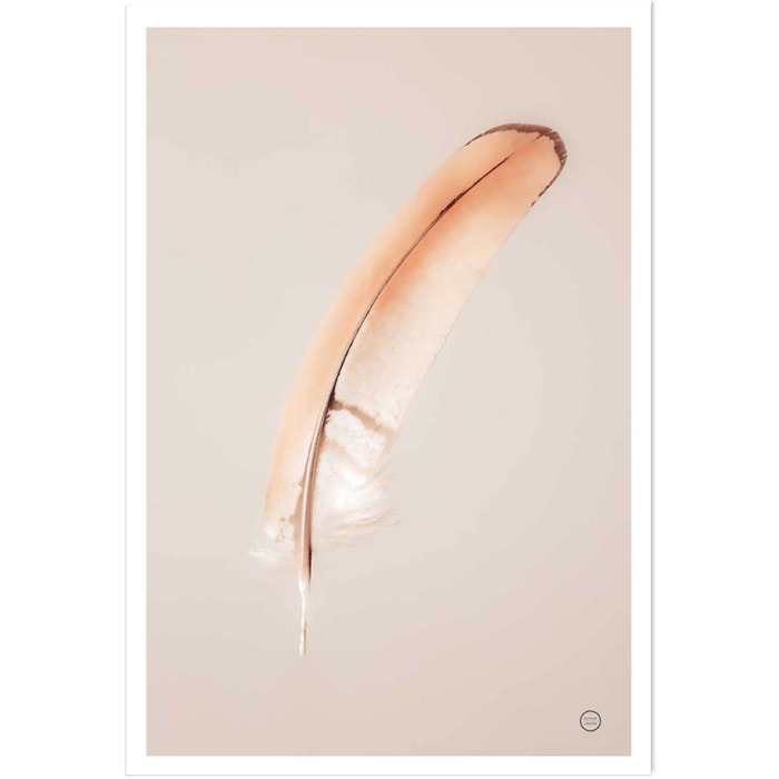 Affiche enfant plume flottante  Affiche seule