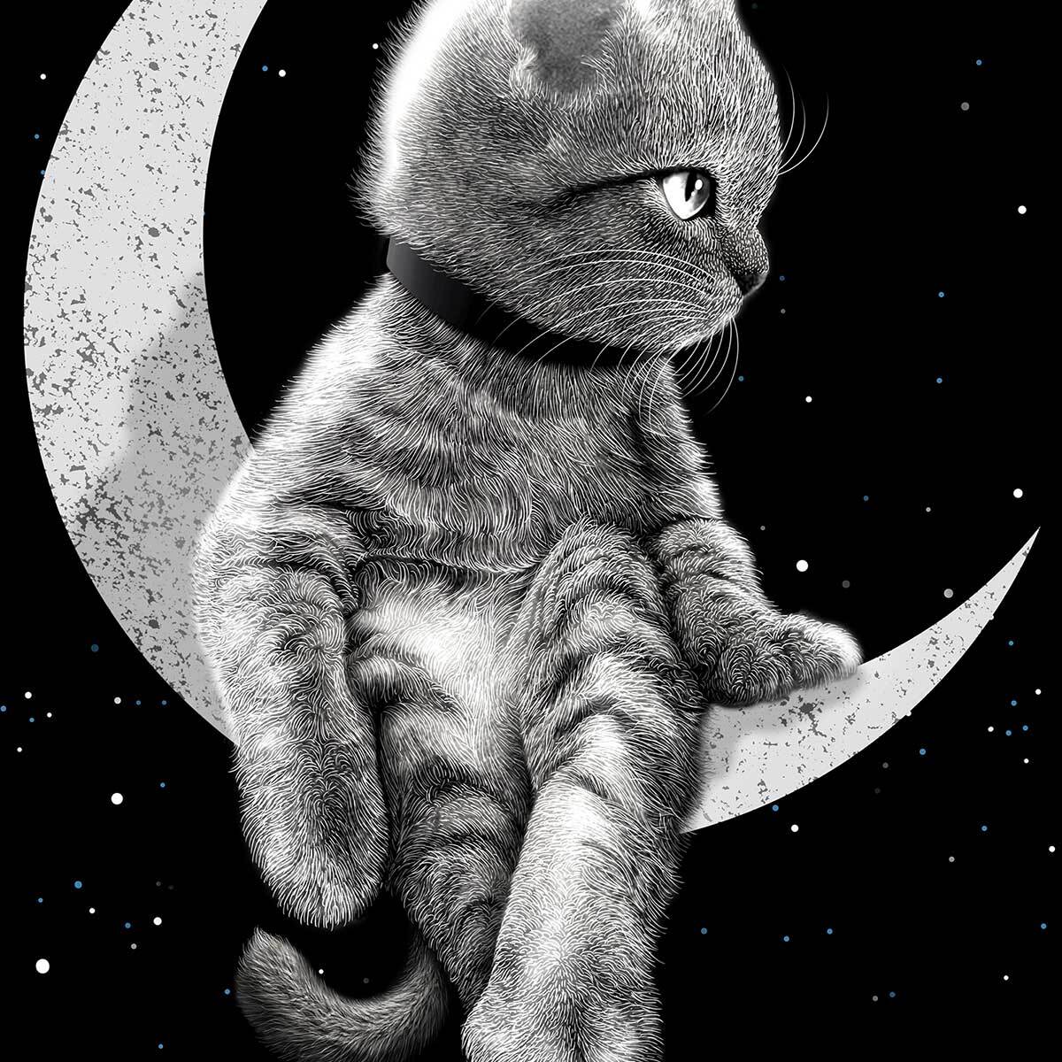 Affiche enfant chat rêveur  Affiche + cadre en bois - Noir