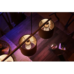 Ampoule LED connectée PHILIPS HUE E14 White Sphérique pack de 2