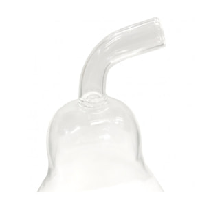 Lot de 2 vases à poser terrarium verre transparent forme poire - FORET GLASS
