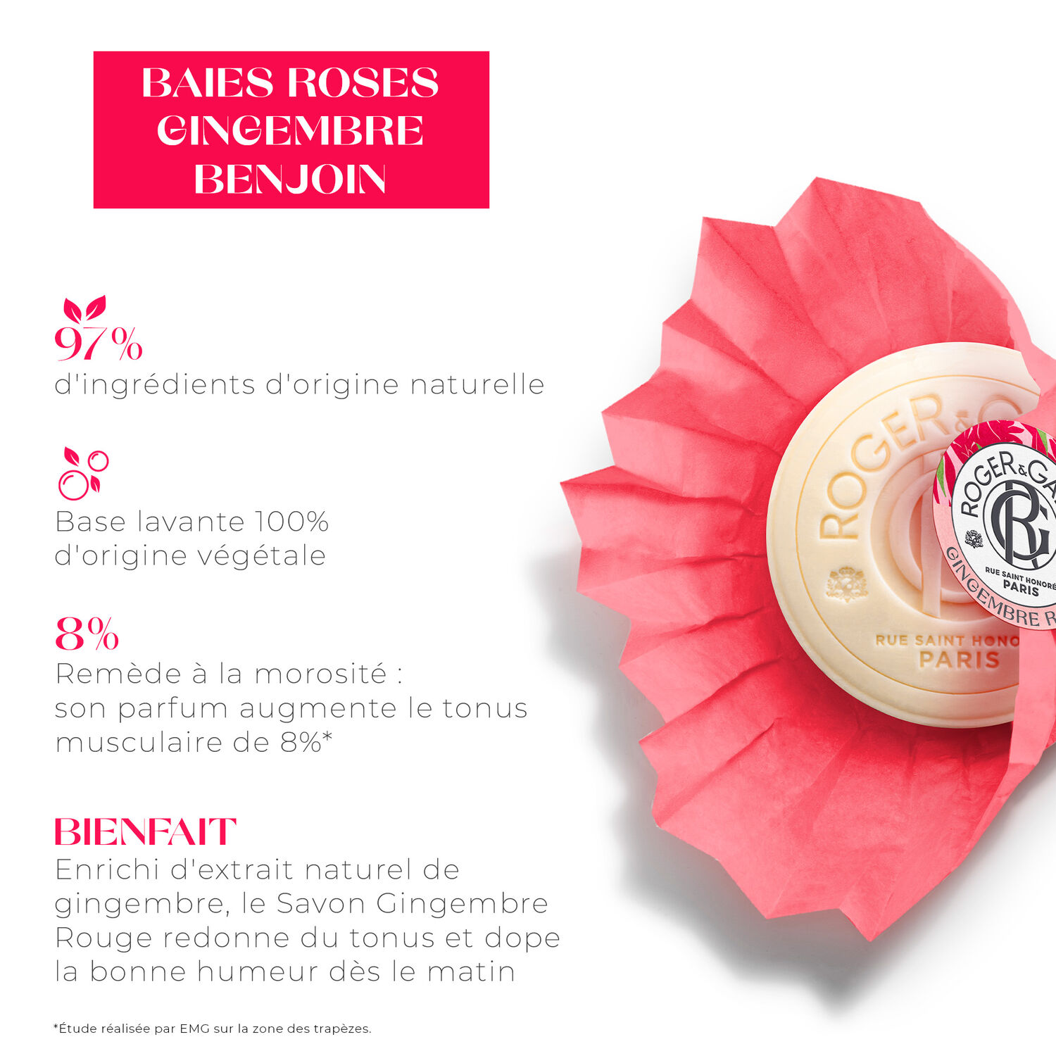 Gingembre Rouge - Savon Bienfaisant 100g