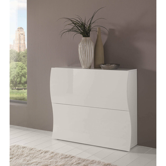 Scarpiera Ape, Mobile multiuso a 2 ante a ribalta, Portascarpe da ingresso, 100% Made in Italy, cm 101x27h82, Bianco lucido