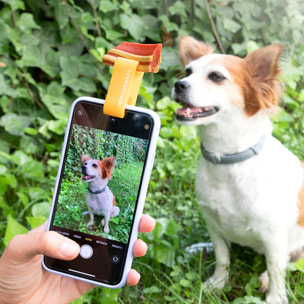 Pack Clip pour Selfies pour Animaux Familiers et Fontaine pour Animaux de Compagnie InnovaGoods