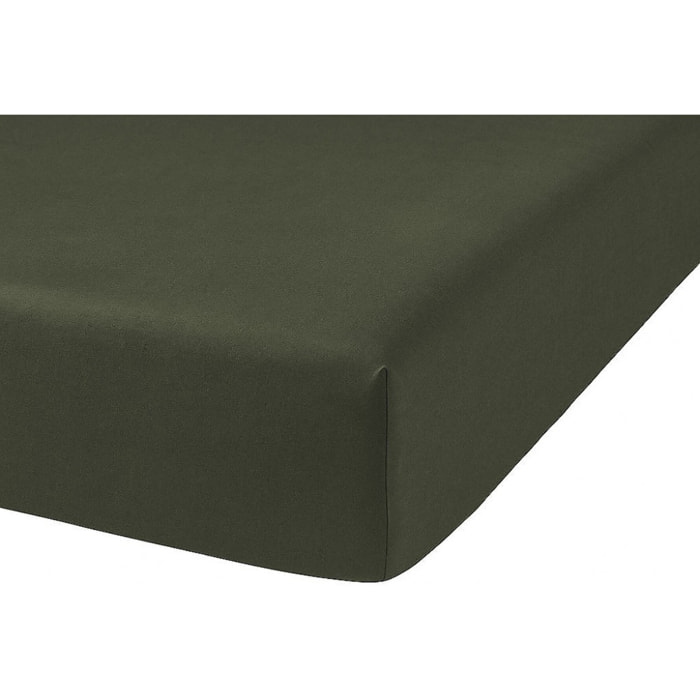 DRAP HOUSSE 2 PERS 180x200 percale de Coton - PERCALE KAKI