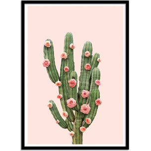 Affiche - Cactus and Roses - Paul Fuentes