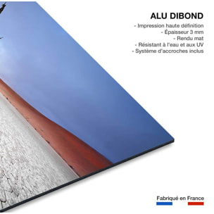 Tableau de Namibie, Le deadvlei Tableau alu Dibond