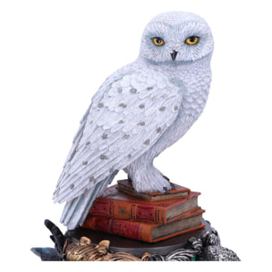 Harry Potter Figura Hedwig 22 Cm Nemesis Now