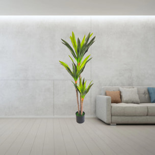 Pianta artificiale per interno Dracena 3 tronchi cm 150 con vaso