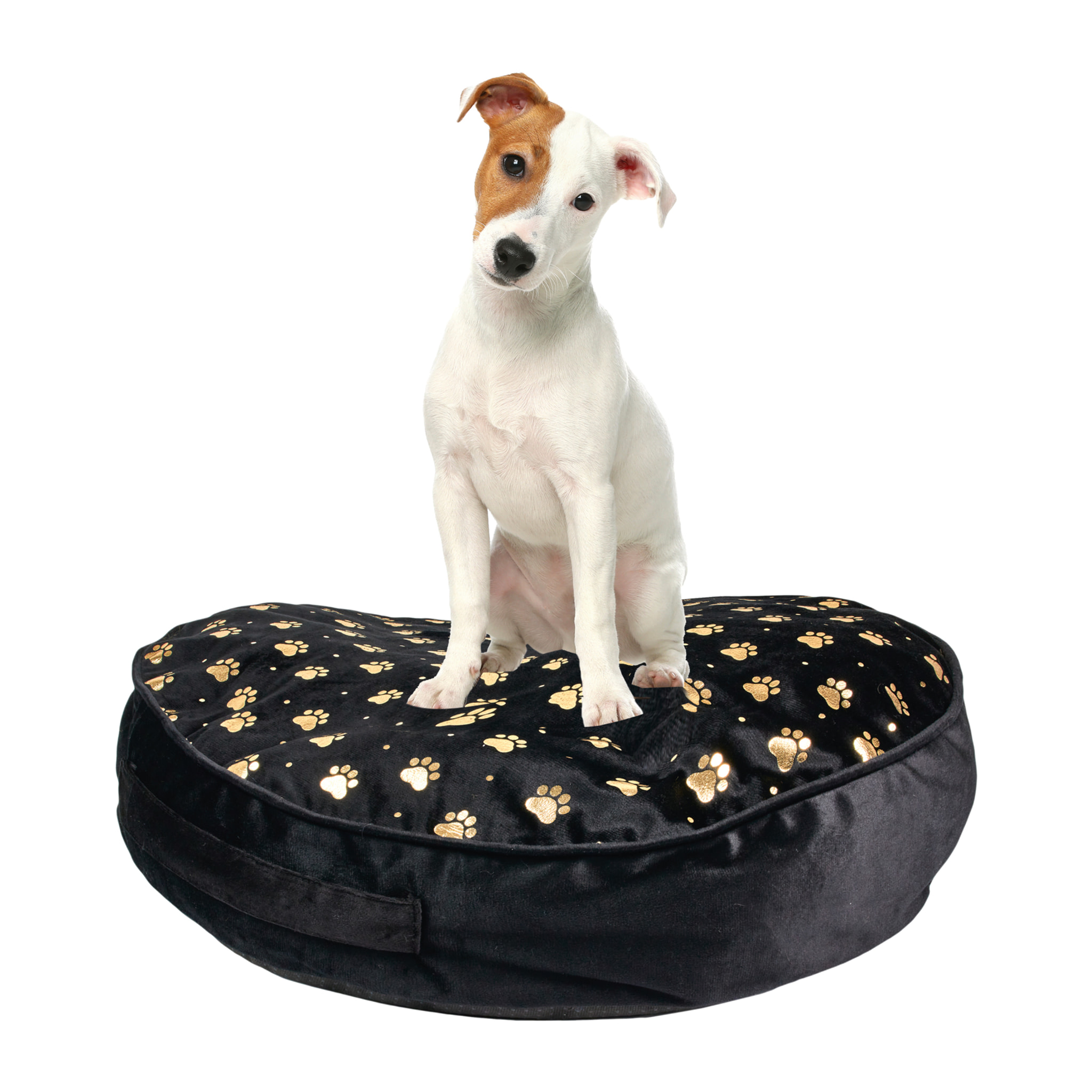 Coussin Pour Animaux 60x60x10cm