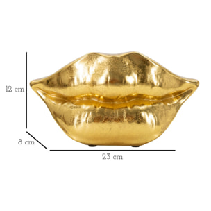 VASO MOUTH LIP CM 23X8X12