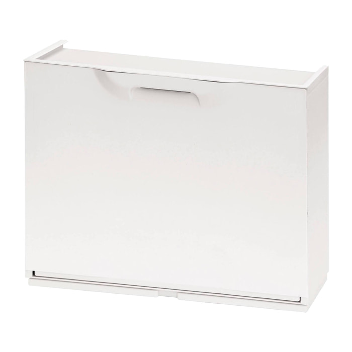 Scarpiera Avon, Porta scarpe salvaspazio, Scarpiera da ingresso, Armadio scarpiera a 1 anta, 100% Made in Italy, 51x17h40 cm, Bianco