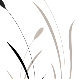 Affiche  scandi blés Affiche + cadre en bois - Noir