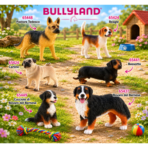 Set 6 Cani Realistici Dipinti a Mano