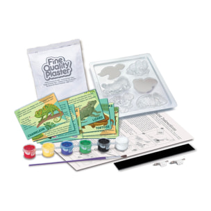 Modella & Dipingi Rettili e Anfibi